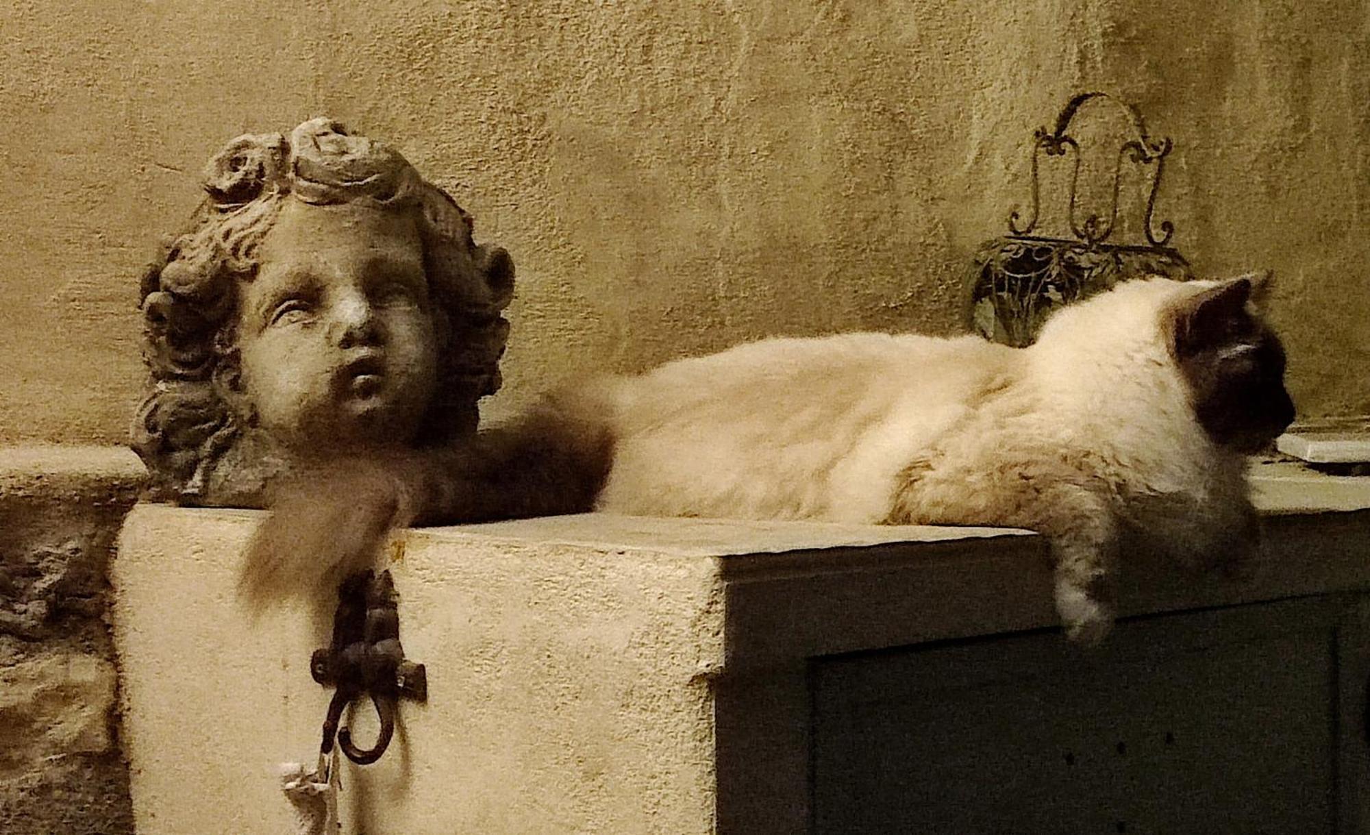 Le Chat Sur Le Toit Lourmarin Exterior photo