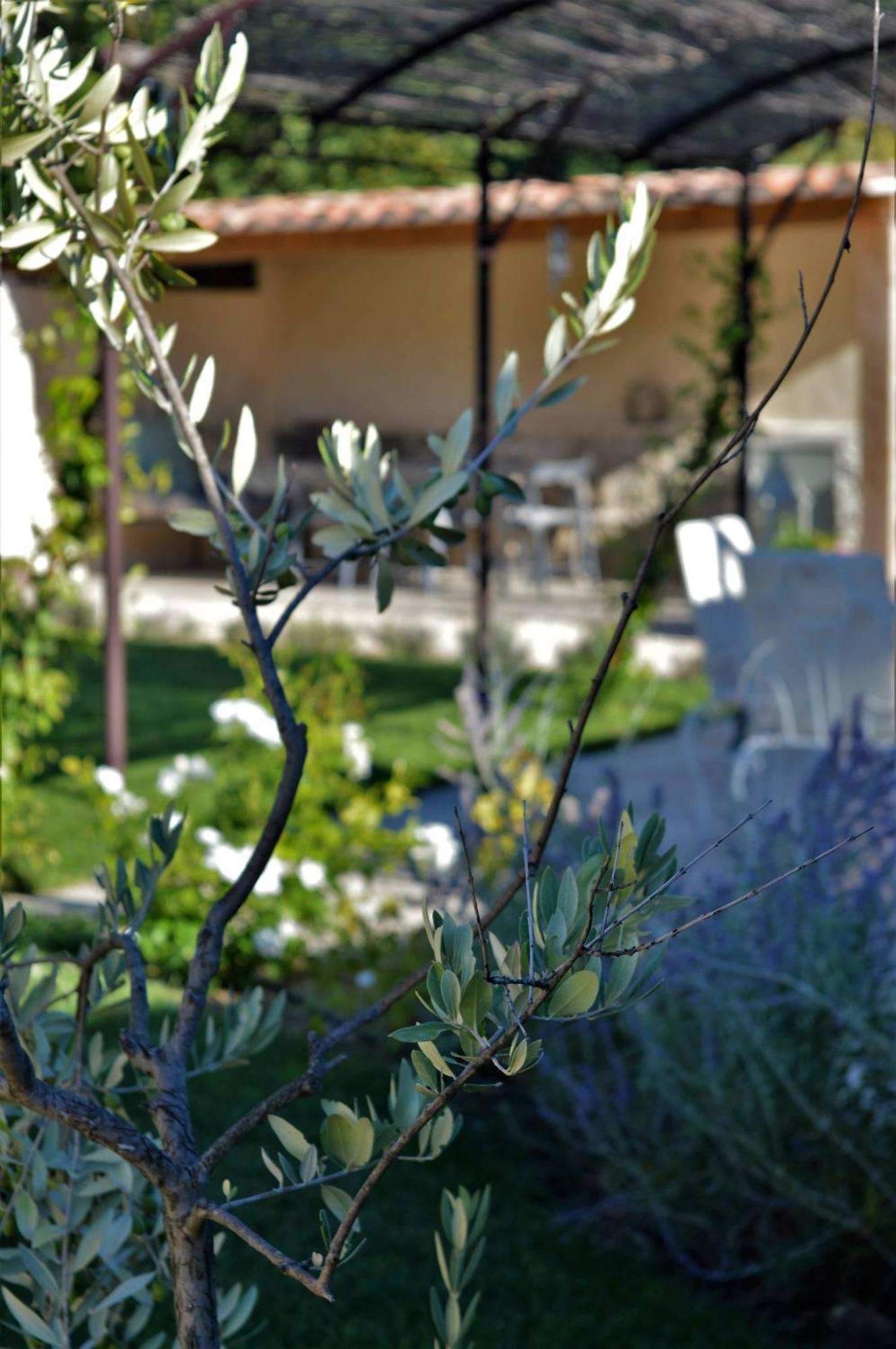 Le Chat Sur Le Toit Lourmarin Exterior photo